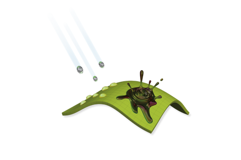 Omni-Shield™